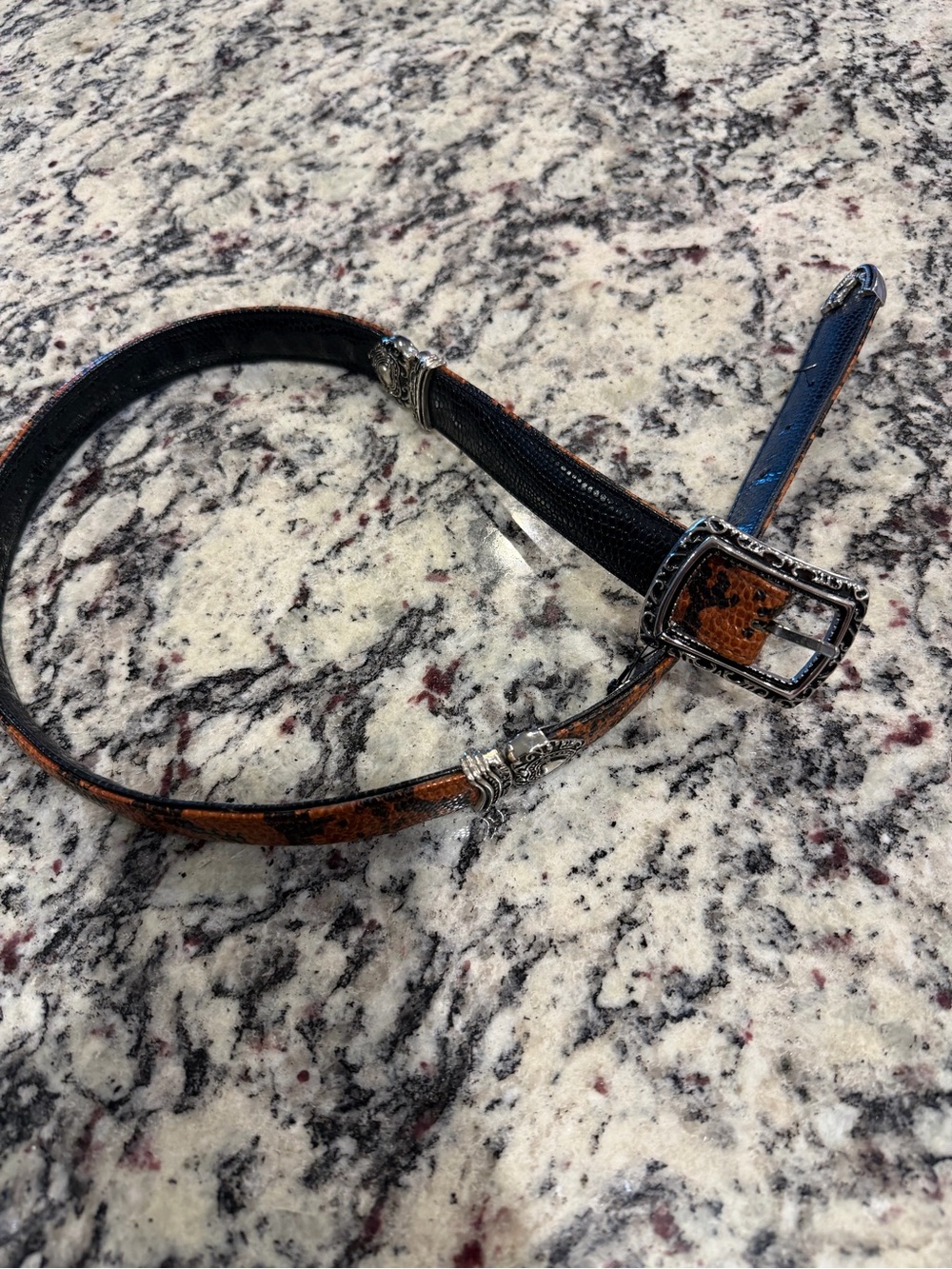 Brighton Brown and Black Kids Belt with Decorative Silver Buckle